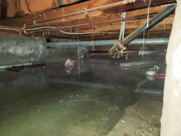 Best Flood damage cleanup  in Munsons Corners, NY