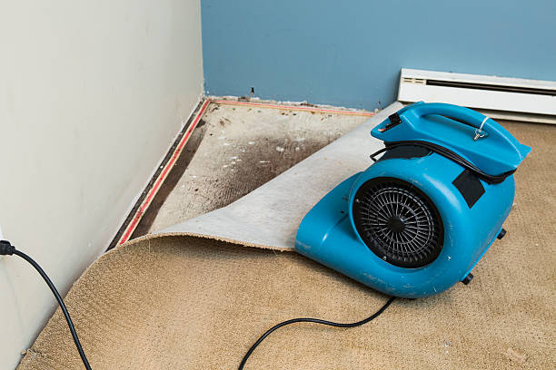 Best 24/7 water damage repair  in Munsons Corners, NY